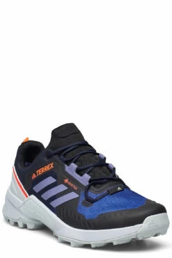 adidas Performance Terrex Swift R3 GORE-TEX Hiking W Hiking Shoes For Women Hazeme/acimin/wiltea