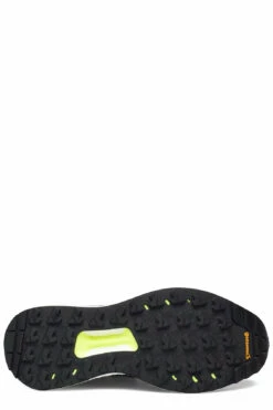 adidas Performance Terrex Free Hiker Gore-Tex Hiking W Hiking Shoes For Women Beiton/sanbei/pulamb -sport shoes online shop adifx4667 ccblackaciminhireye 4