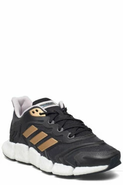 adidas Performance Climacool Vento W Running Shoes For Women Ftwwht/amblus/aciora -sport shoes online shop adig54909 cgresixcoppmtcblack 1