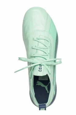 PUMA ONE 20.1 Wms FG/AG Football Shoes For Women Mist Green-high Rise-dark Denim -sport shoes online shop pum105981 c3402484977 v001 3