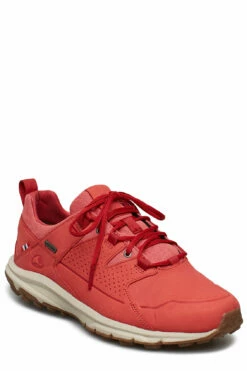 Viking Myk GTX W Hiking Shoes For Women Grey/bluegreen -sport shoes online shop vik349465 cdarkpinklightpink 1